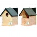 PetNest Combo Bird house for Sparrow and other small garden birds Nestbox